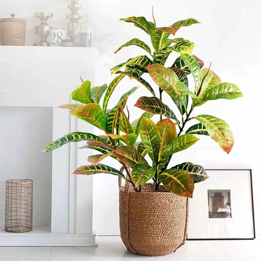 21-120cm 인조 식물 가짜 반얀 나무 열대 반얀  - Dracaena Marginata 리뷰 및 가격
