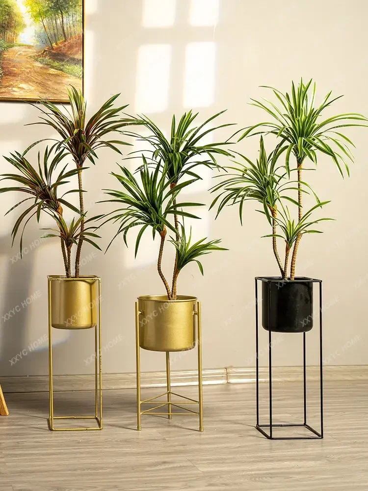 시뮬레이션 컬러풀 포니테일 아이언 드라세나 마르티나타  - Dracaena Marginata 리뷰 및 가격