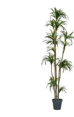 시뮬레이션 드라세나 드라세나 마르티나타 녹색 식물 인조 - Dracaena Marginata 리뷰 및 가격