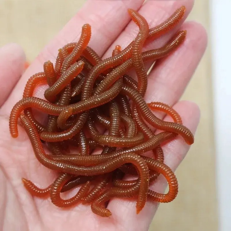 실물 같은 생선 냄새 레드 소프트 루어 시뮬레이션 지렁 - Aglaonema Red 리뷰 및 가격